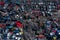 Scrapyard Aerial View. Old rusty corroded cars in car junkyard. Car recycling industry from above