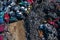 Scrapyard Aerial View. Old rusty corroded cars in car junkyard. Car recycling industry from above