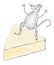 A scratch of a mouse on a piece of cheese