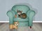 Scratch-resistant armchair with kittens