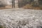 Scratched Frozen Pond in the Forest used as an Ice Rink