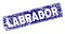 Scratched LABRADOR Framed Rounded Rectangle Stamp