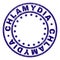 Scratched Textured CHLAMYDIA Round Stamp Seal