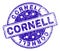 Scratched Textured CORNELL Stamp Seal