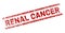 Scratched Textured RENAL CANCER Stamp Seal