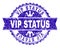 Scratched Textured VIP STATUS Stamp Seal with Ribbon