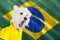 Screaming dog world cup