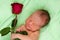 Screaming newborn with rose