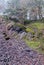 Scree under a ground breaking edge in the quarry at Bromberg