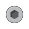Screw head of bolt wih hexagon socket isolate icon