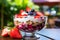 Scrumptious and nutritious oatmeal yogurt dessert with a medley of fresh, juicy berries