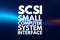 SCSI - Small Computer System Interface acronym