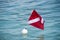 Scuba dive buoy with flag in tropical water