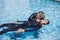 Scuba dive training in a pool rescue diver