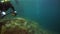 Scuba diver with camera swimming deep underwater in Lake Baikal.