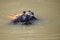 Scuba diver clean garbage from river