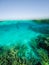 Scuba Diver Diving into Shallow Red Sea Reef Transparent Water