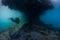 Scuba Diver and Eroded Limestone Island