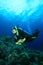 Scuba Diver explores coral reef