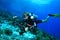 Scuba Diver explores coral reef with his camera