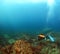 Scuba diver explores a wreck in the Indian Ocean