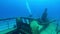 A scuba diver explores the wreck of a sunken patrol boat