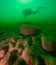 SCUBA diver exploring a cloudy inland lake with large boulders