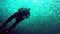 Scuba diver floats in vertical closeup