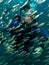 Scuba diver inside shoal of fish