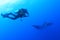 Scuba diver with manta ray at Socorro Island, Mexico