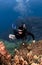 Scuba Diver Photographing the Coral