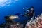 Scuba diver photographing a swimming turtle