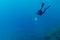 A scuba diver picks up a plastic bag during a dive in the Atlantic ocean