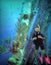 A Scuba Diver Among Salt Pier Pilings off Bonaire