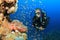 Scuba Diver and Scorpionfish