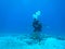 Scuba diver on the sea floor in the Caribbean