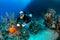 SCUBA Diver in sidemount on a reef