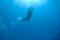 Scuba diver silhouette with sunrays.