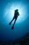Scuba Diver silhouetted against the sun