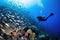 scuba diver swimming above beautiful coral reef, surrounded by schools of fish