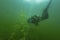 SCUBA diver swimming though fresh water weeds