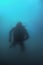 Scuba Diver Swimming Underwater Explores Reef and Examines Seabed