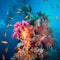 A scuba diver swimming underwater with fishes