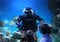 Scuba diver under water plunged to the bottom in the aquarium children watch the sea show