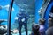 Scuba diver under water plunged to the bottom in the aquarium children watch the sea show