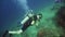 Scuba Diver underwater.