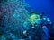 Scuba diver is underwater with a flat red coral. Women is wearing in scuba diving equipment: yellow mask, regulator and blue cost