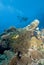 Scuba divers in crystal clear water