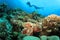 Scuba Divers explore Beautiful Coral Reef