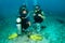 Scuba divers learn dive coarse